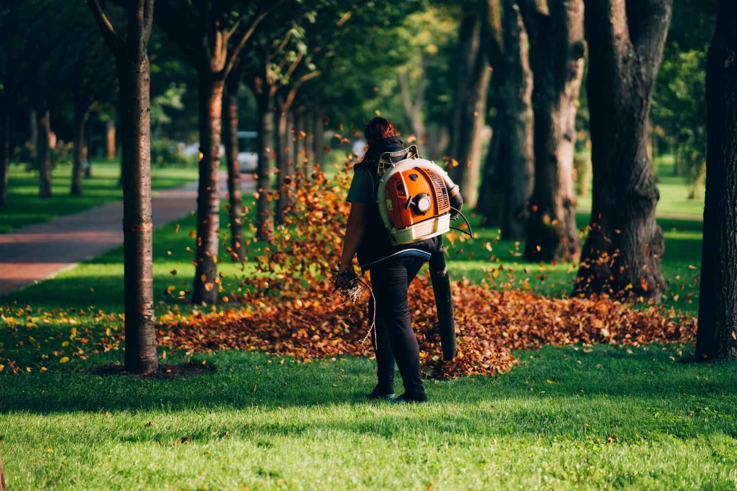 Best Tree Removal for Businesses  in USA